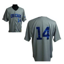 Jerseys Chicago Cubs 14 Banks Grey