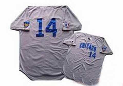 MLB Majestic Chicago Cubs 14 Banks Grey Baseball Jersey