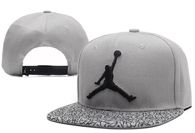 Air Jordan Fresh Logo Gray Adjustable Hat
