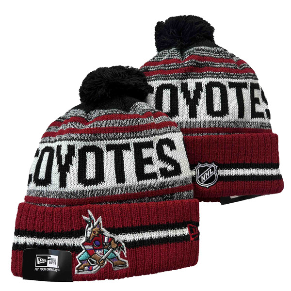 Arizona Coyotes Knit Hats 002 Arizona Coyotes Knit Hats 002