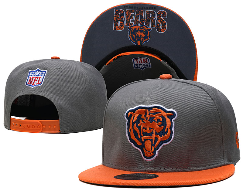 Bears Gray Snapback Hat --TX