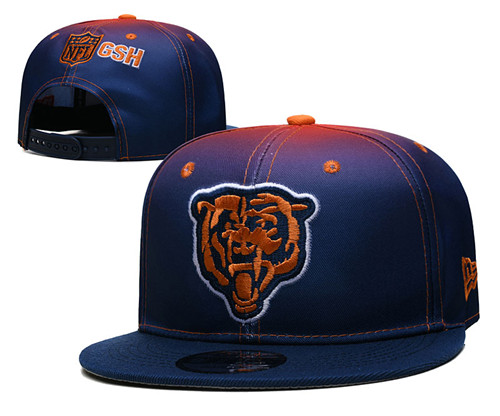 Bears Snapback Hat