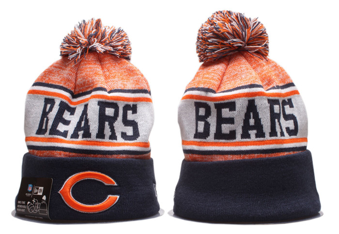 Bears Team Logo Pom Knit Hat YP 1