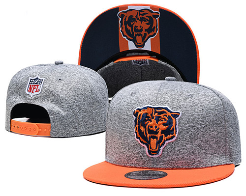 Bears Team Logos Adjustable Gray Hat GS
