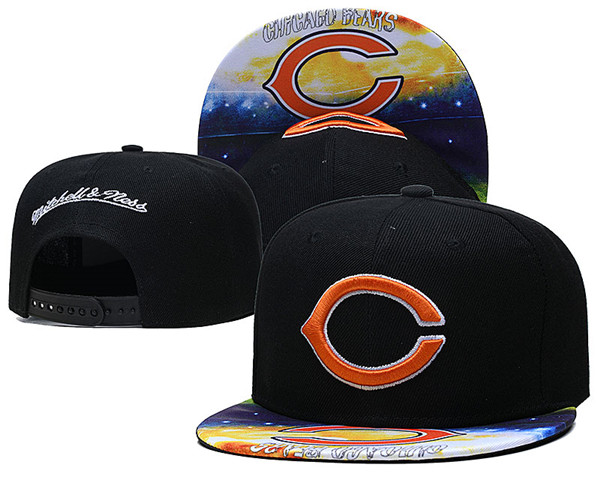 Bears Team Logos Adjustable Hat XLH