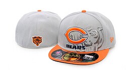 Bears fitted aht