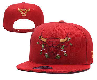 Bulls Team Logo Red Adjustable Hat YD
