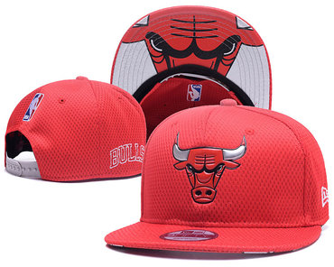 Bulls Team Logo Red Adjustable Hat YD