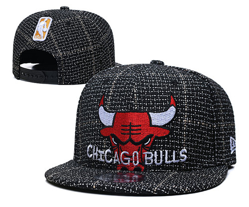 Bulls Team Logos Adjustable Hat GS