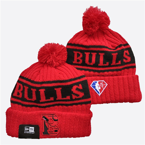 Chicago Bulls 2019 Knit Hats 046 Chicago Bulls 2019 Knit Hats 046