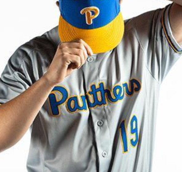 Custom PITT Pittsburgh Panthers Gray Baseball Jersey Custom PITT Pittsburgh Panthers Gray Baseball Jersey