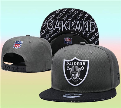 Dolphins Team Logo Gray Black Adjustable Hat TX