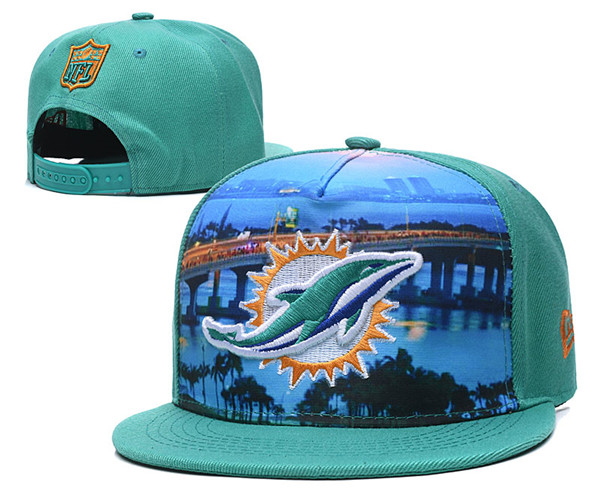 Dophins Team Logos Adjustable Hat YD