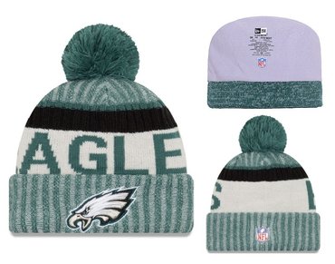 Eagles Team Logo 2017 Sideline Knit Hat