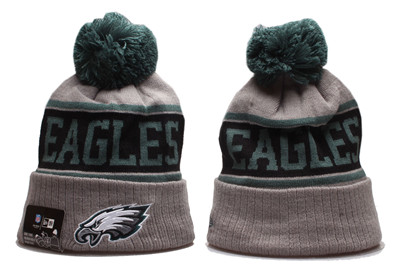 Eagles Team Logo Gray Pom Knit Hat YP