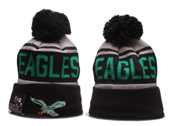 Eagles Team Logo Pom Knit Hat YP