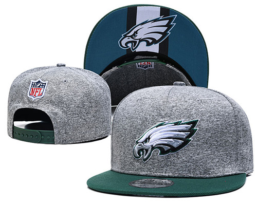 Eagles Team Logos Adjustable Gray Hat GS