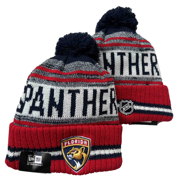 Florida Panthers Knit Hats 002 Florida Panthers Knit Hats 002