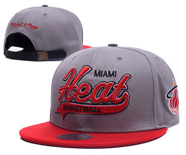 Heat Team Logo Gray Snapback Adjustable Hat GS
