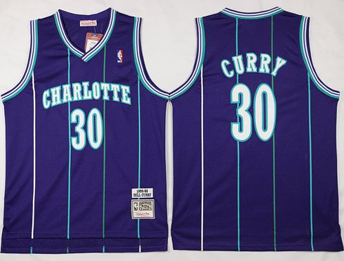 Mitchell And Ness Charlotte Hornets #30 Dell Curry Purple Throwback Stitched NBA Jersey
