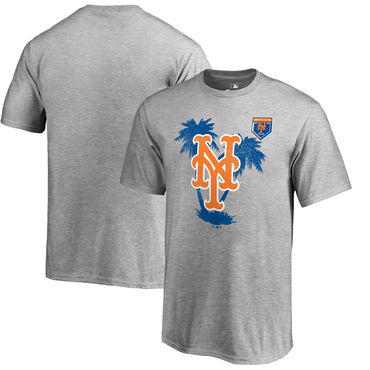 New York Mets Fanatics Branded 2018 MLB Spring Training Vintage T Shirt Heather Gray New York Mets Fanatics Branded 2018 MLB Spring Training Vintage T Shirt Heather Gray