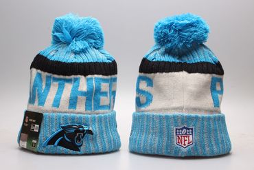 Panthers Fresh Logo Blue Knit Hat YP