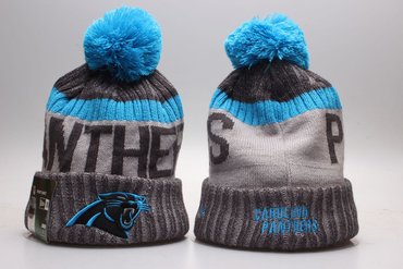 Panthers Fresh Logo Fashion Knit Hat YP
