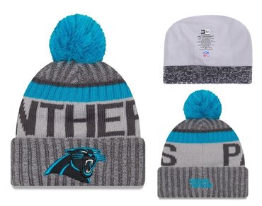 Panthers Fresh Logo Knit Hat YD