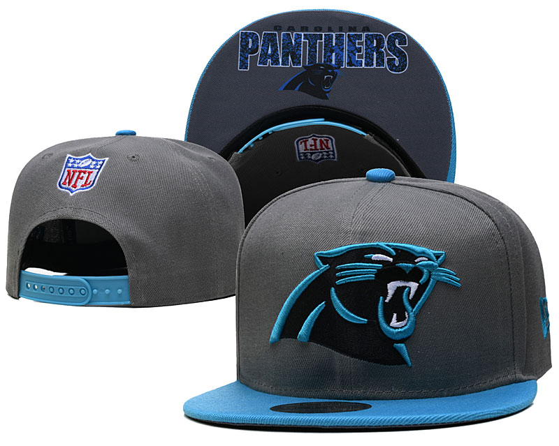Panthers Gray Snapback Hat --TX