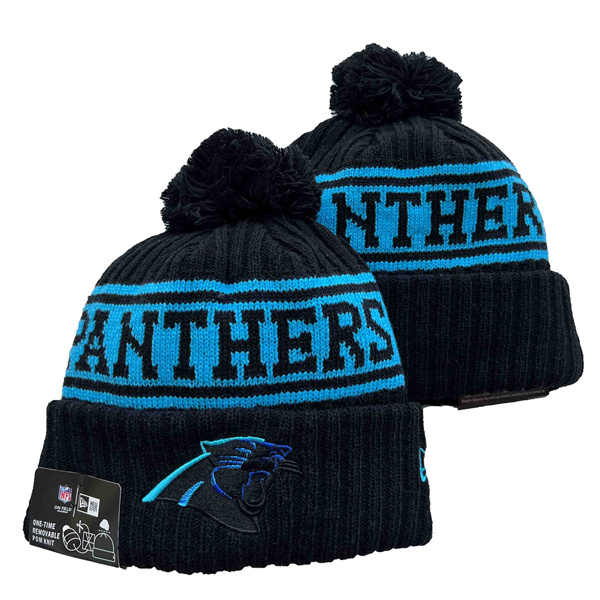 Panthers Knit Hat YD