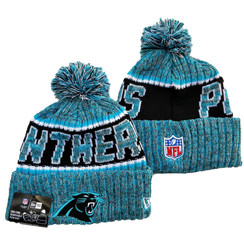 Panthers Knit Hat YD