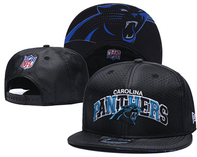 Panthers Team Logo Black Adjustable Hat TX