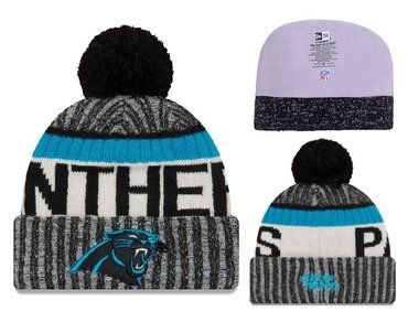 Panthers Team Logo Black Knit Hat YD