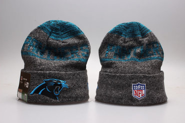 Panthers Team Logo Dark Gray Knit Hat YP