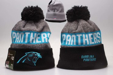 Panthers Team Logo Gray & Black Knit Hat YP