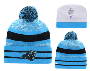 Panthers Team Logo Knit Hat YD