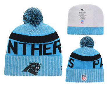 Panthers Team Logo Knit Hat YD