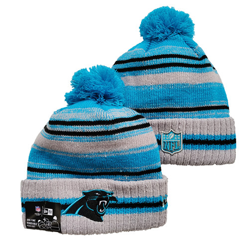 Panthers Team Logo Pom Knit Hat 1 YD