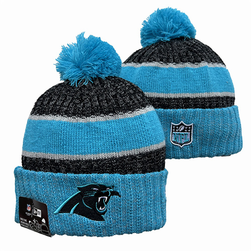 Panthers Team Logo Pom Knit Hat YD-2