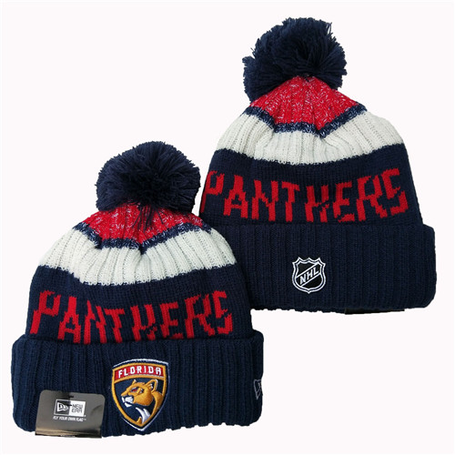 Panthers Team Logo Pom Knit Hat YD Panthers Team Logo Pom Knit Hat YD