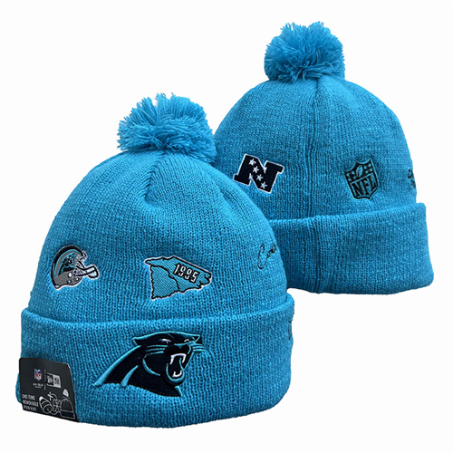 Panthers Team Logo Pom Knit Hat YD