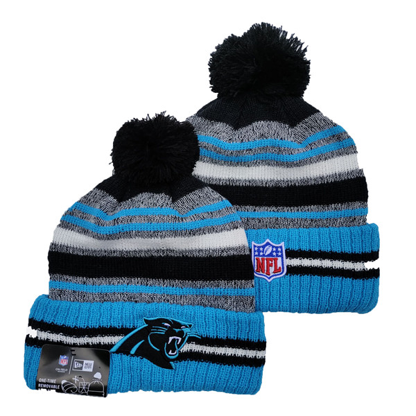 Panthers Team Logo Pom Knit Hat YD