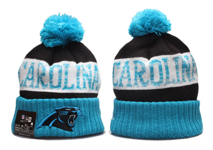 Panthers Team Logo Pom Knit Hat YP