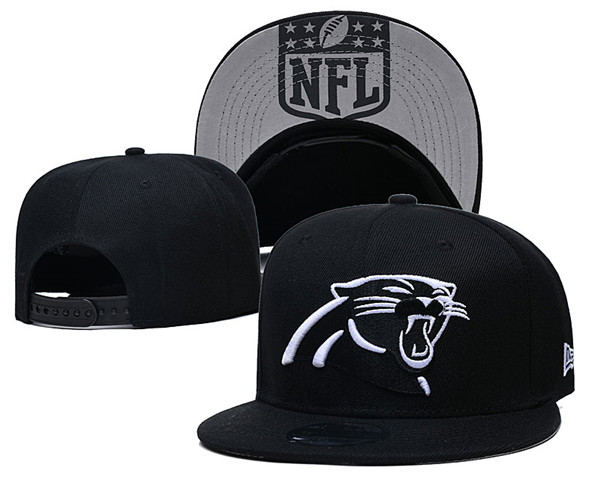 Panthers Team Logos Adjustable Black Hat GS
