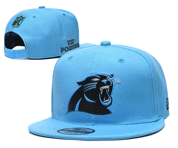 Panthers Team Logos Adjustable Hat  YD