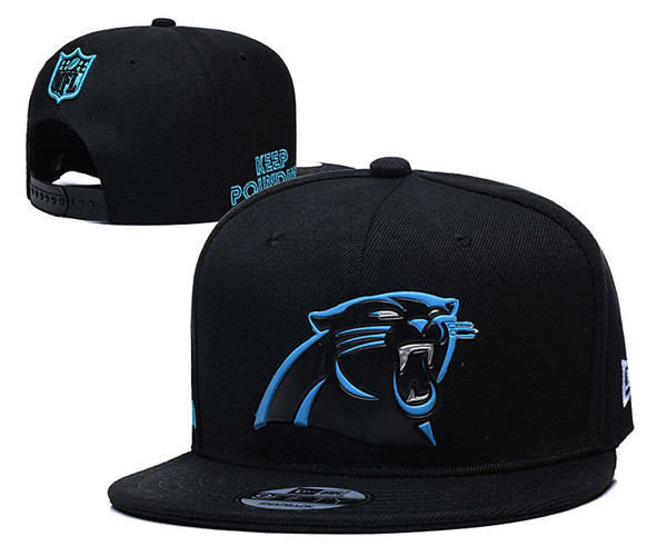 Panthers Team Logos Adjustable Hat Black YD