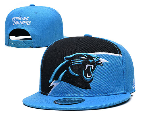Panthers Team Logos Adjustable Hat GS 2