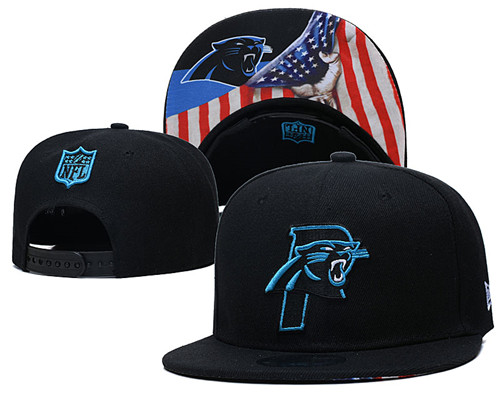 Panthers Team Logos Adjustable Hat GS