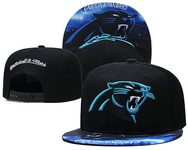 Panthers Team Logos Adjustable Hat XLH