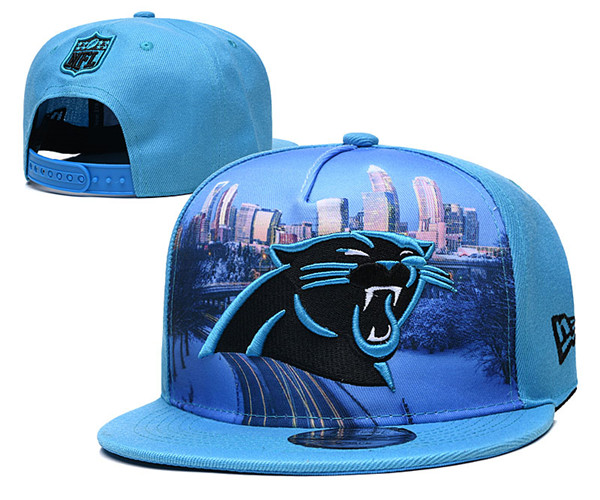 Panthers Team Logos Adjustable Hat YD